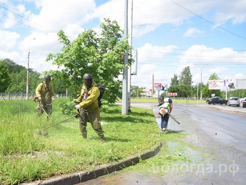 В Вологде начинаются работы по покосу травы и по борьбе с борщевиком.