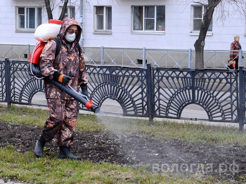 В Вологде более 700 гектаров зеленых зон обработают от клещей.