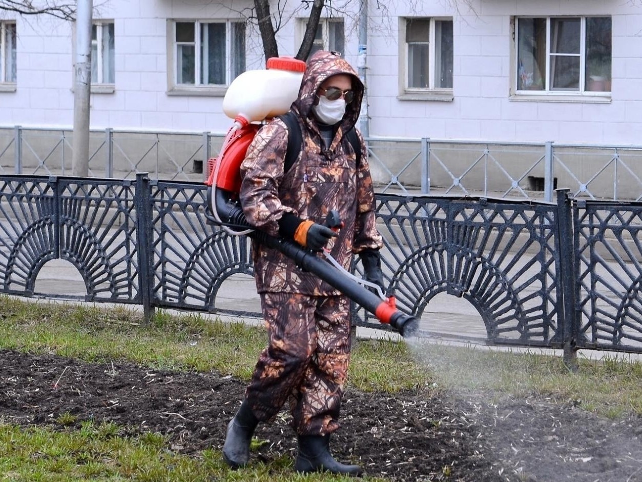 В Вологде приступили к противоклещевой обработке.