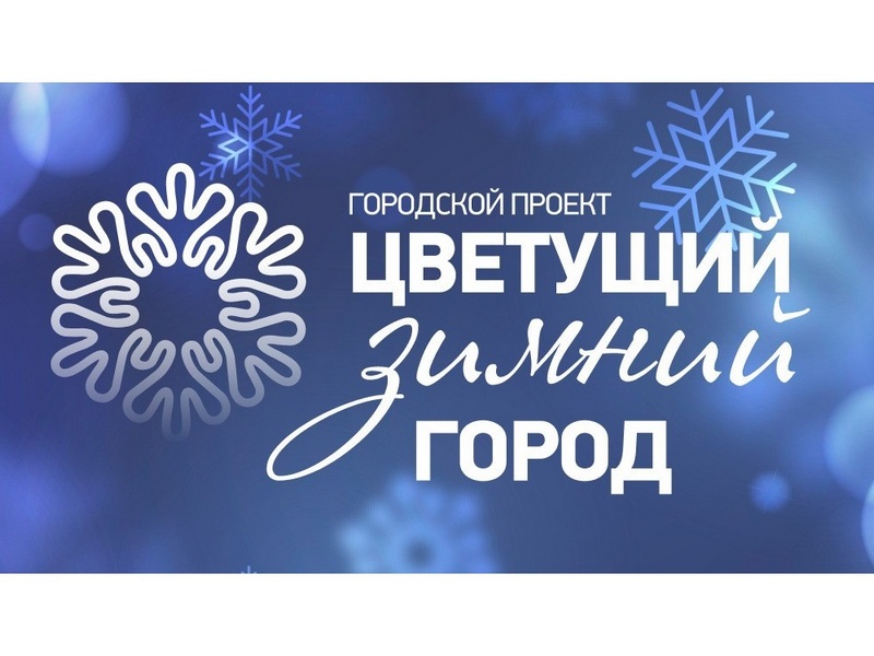 Конкурс «Цветущий зимний город» проходит в Вологде.