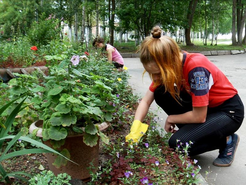 Более 1 000 вологодских школьников будут трудоустроены этим летом в Вологде.