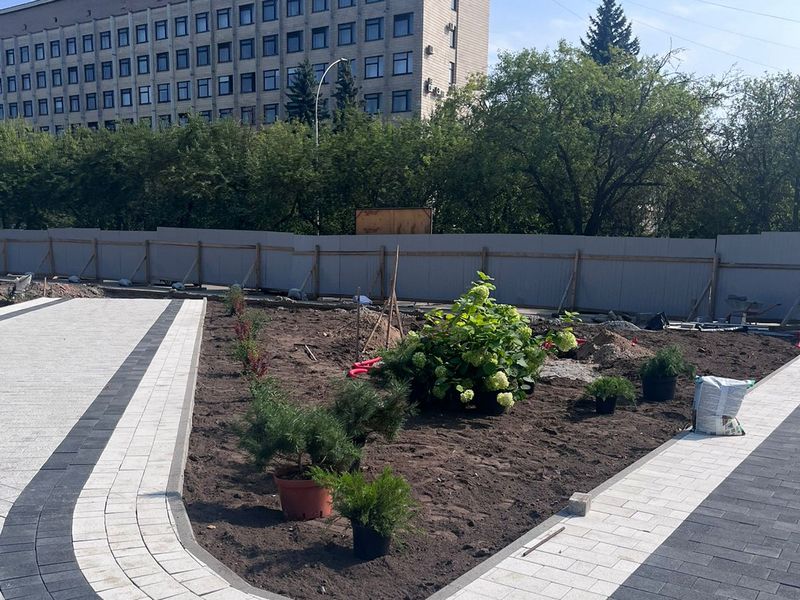 В Вологде на площади Дрыгина высаживают яблони и еще более 600 различных растений.