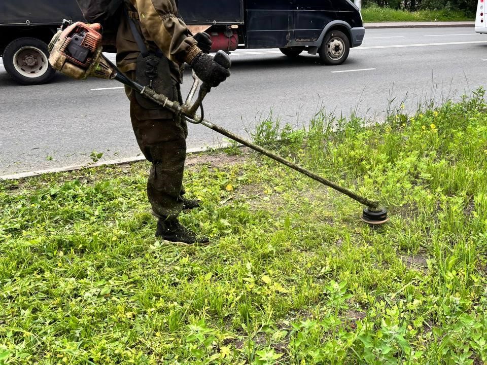 В Вологде начался второй этап покоса травы.