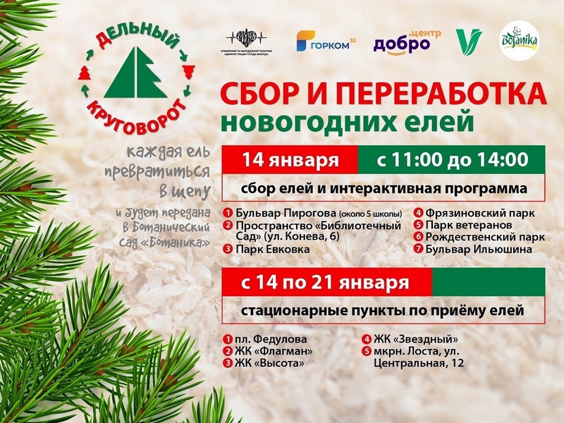 Вологжане могут сдать ели на переработку в рамках акции «дЕльный круговорот».
