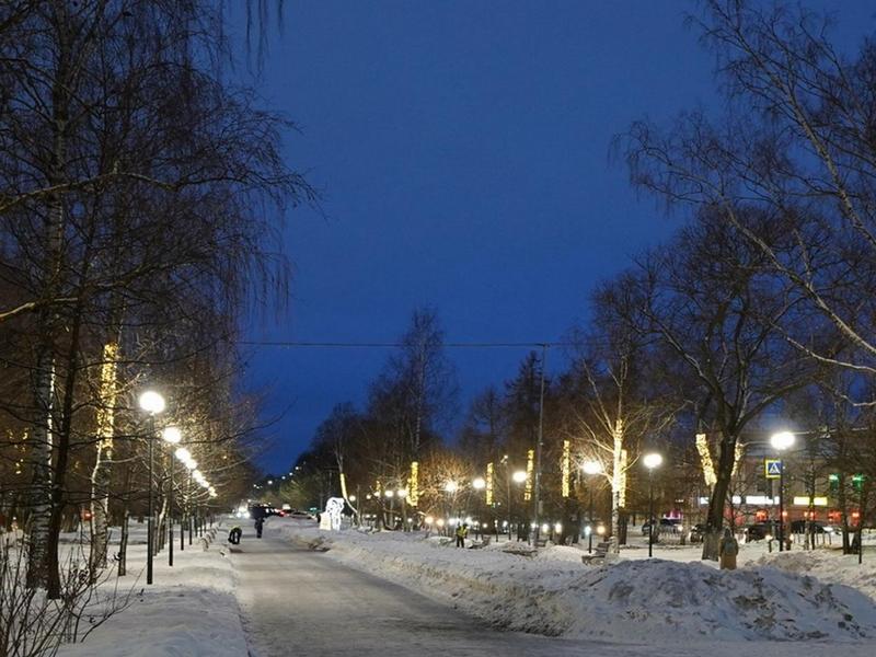 Общегородское обсуждение проекта развития и благоустройства бульвара на пр. Победы пройдет в Вологде.