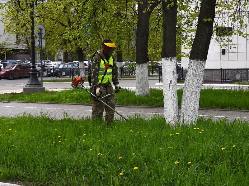 В Вологде приступили к покосу травы.