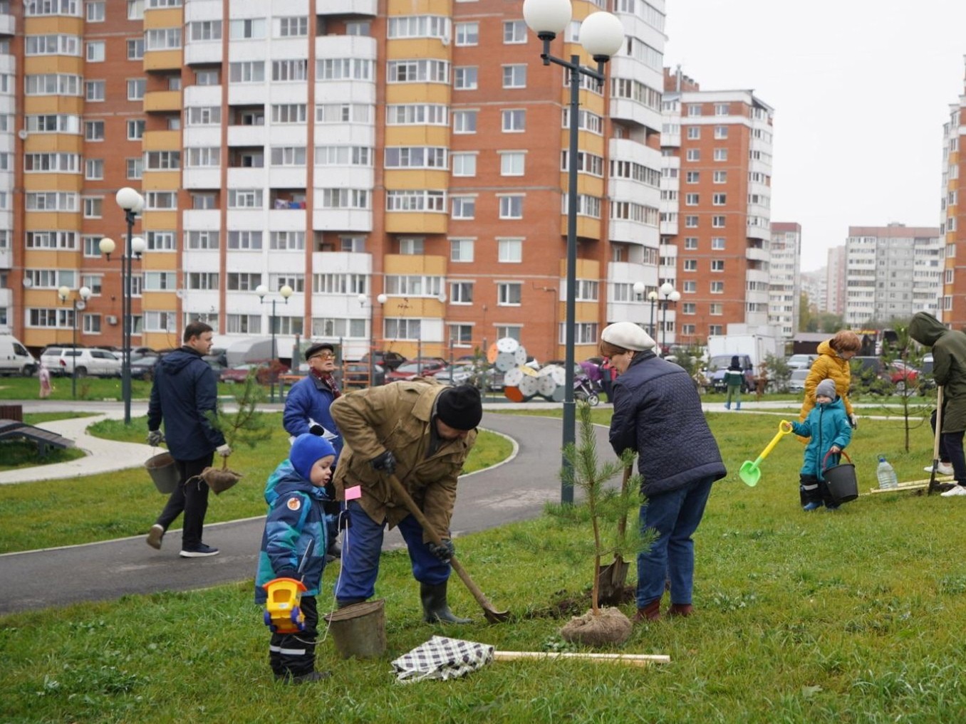 В Вологде принимают заявки на участие в проекте «Зеленый каркас».